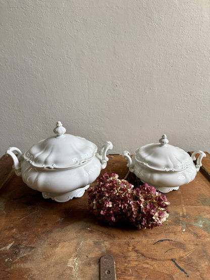 Soupière grande taille modèle Sylvia de Hutschenreuther