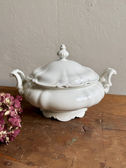 Soupière petite taille modèle Sylvia de Hutschenreuther