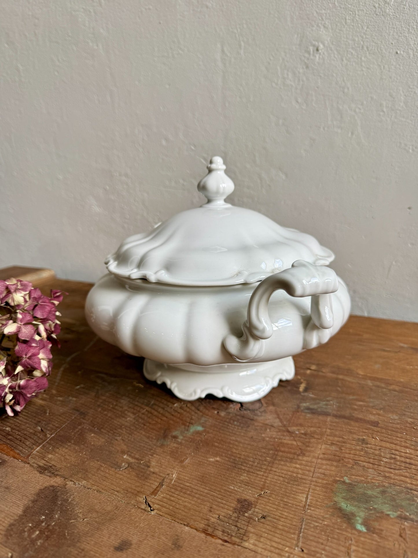 Soupière petite taille modèle Sylvia de Hutschenreuther