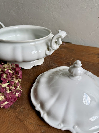 Soupière petite taille modèle Sylvia de Hutschenreuther