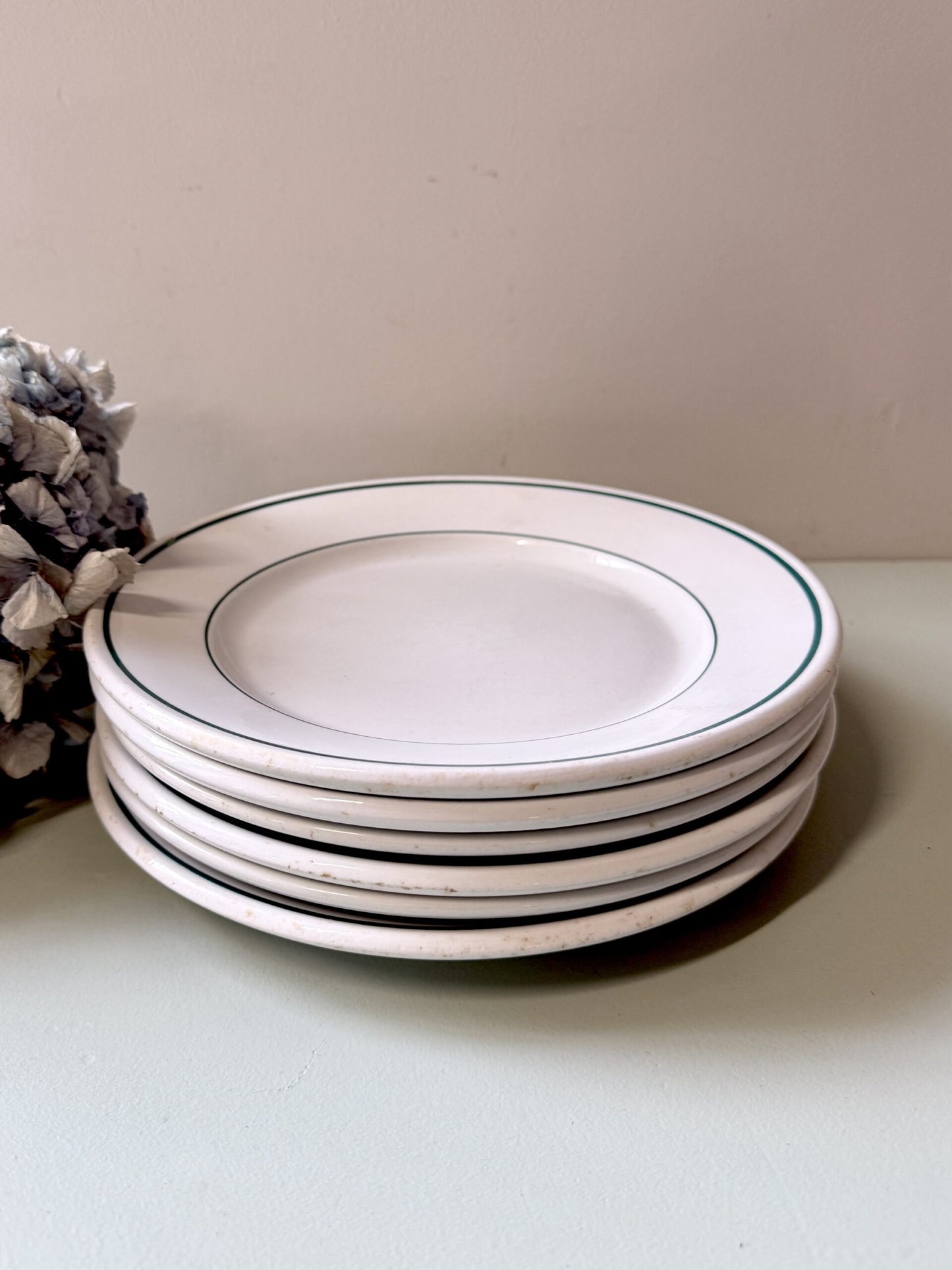 Assiettes plates beige avec liseré vert Pyroblan Sarreguemines - Lot de 6