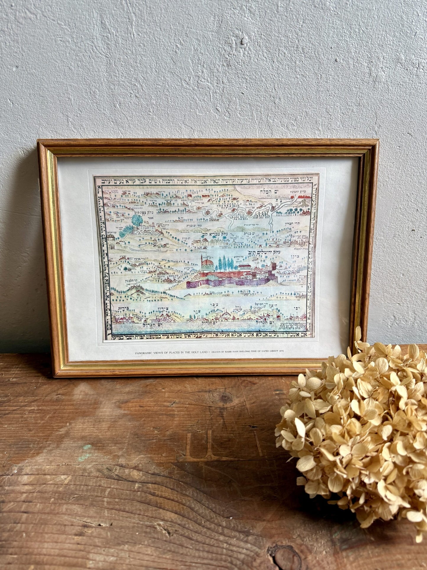 Tableau carte illustrée en bandes de la Terre d'Israël