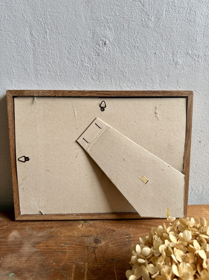 Tableau carte illustrée en bandes de la Terre d'Israël