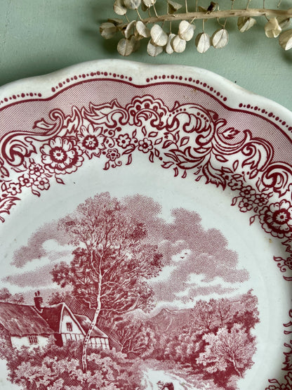 Assiette Suisse Landscape