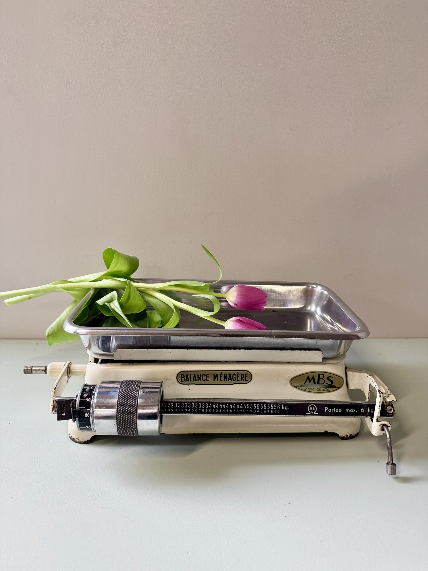 Balance ménagère décorative MBS