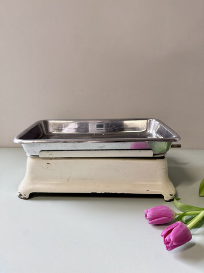 Balance ménagère décorative MBS