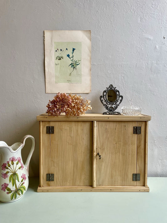 Petite armoire murale