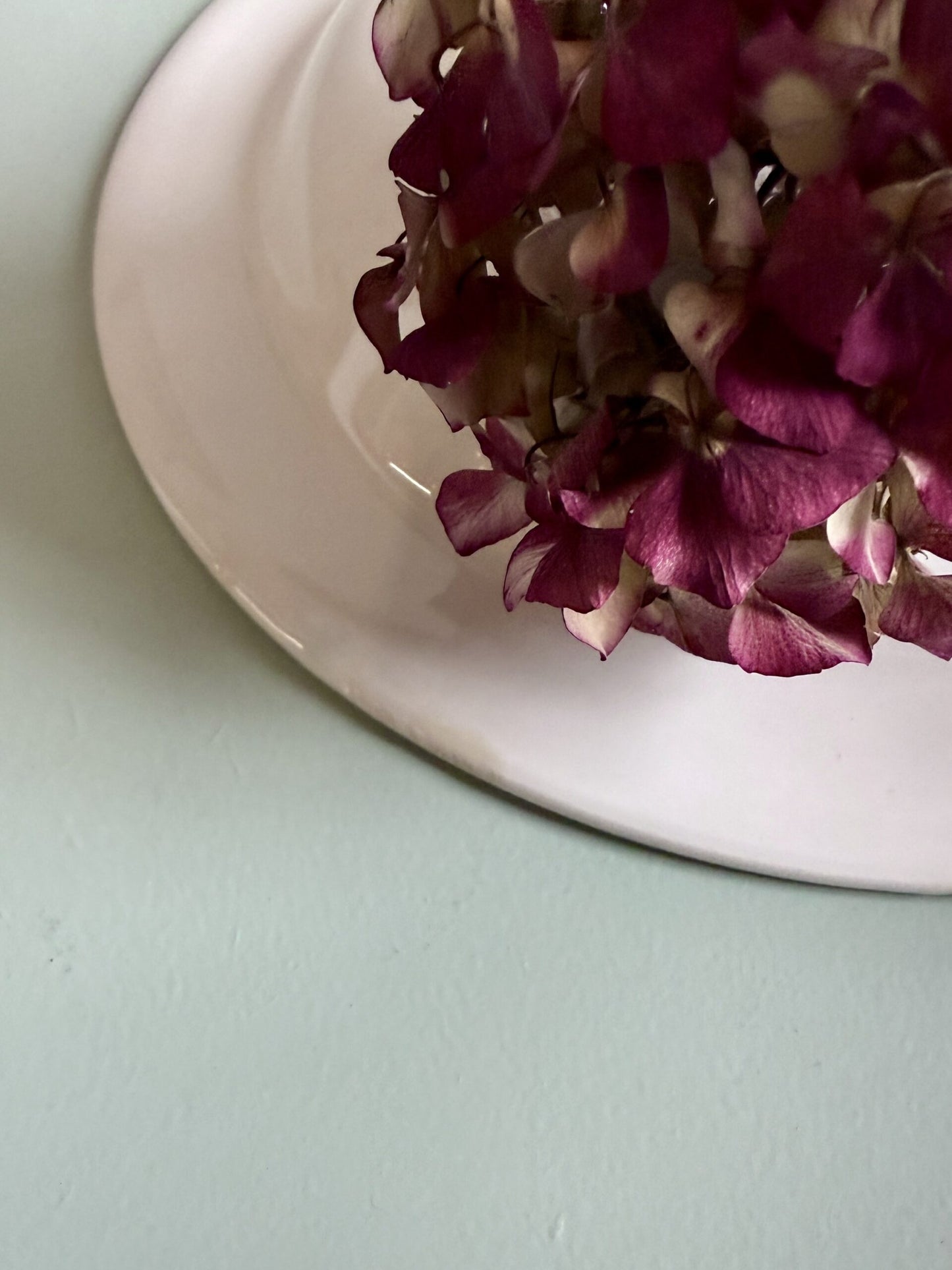 Assiette creuse de Sanmarciano - lot de 6