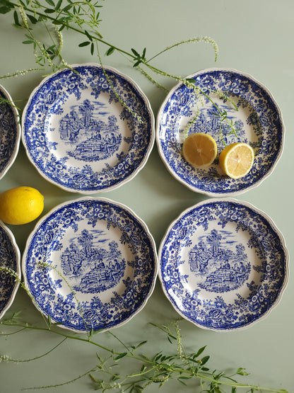 Assiettes plates en céramique Lunéville style anglais lot de 6   Patine