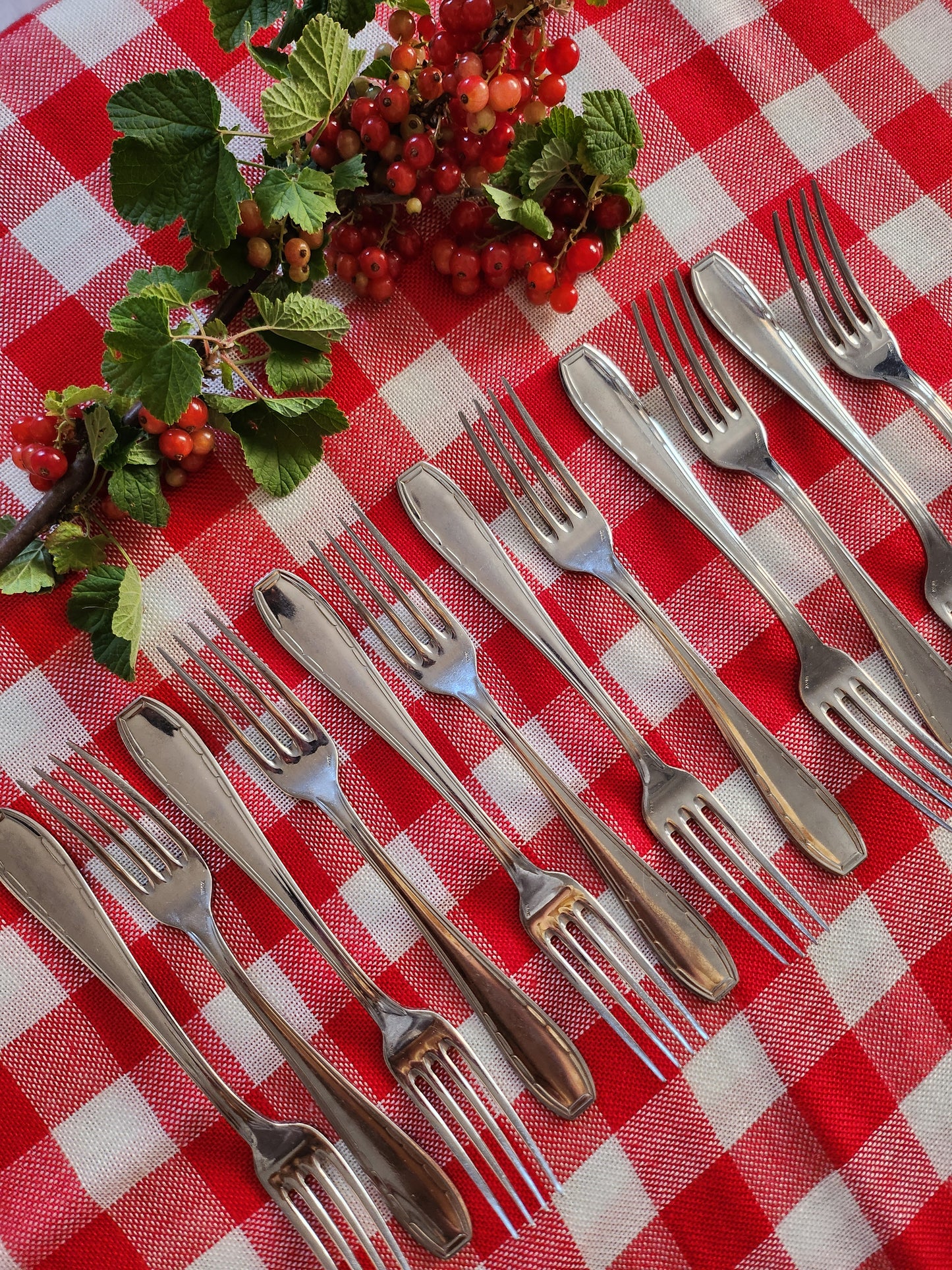 Fourchette en inox lot de 12  Vaisselle Patine