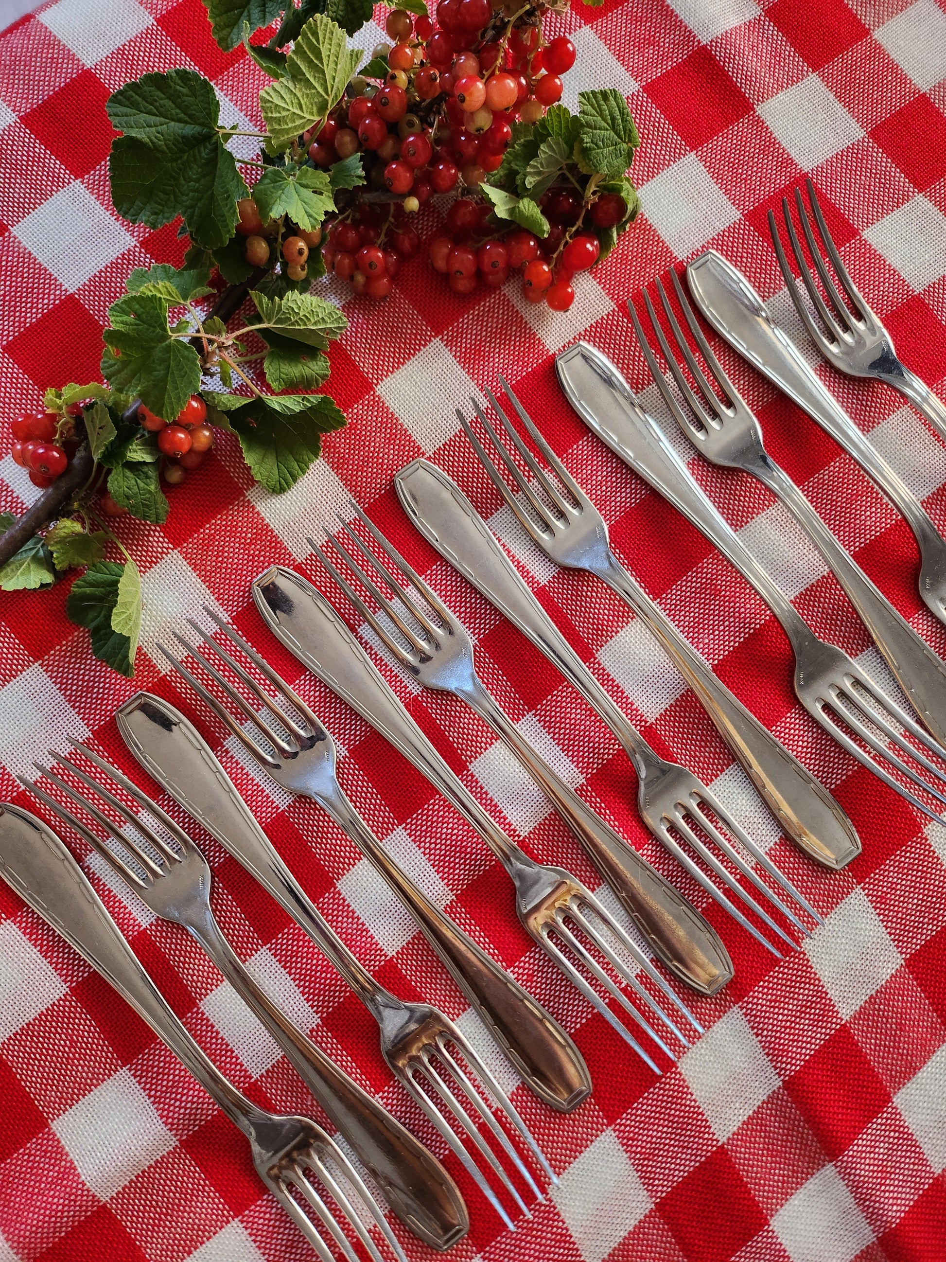 Fourchette en inox lot de 12  Vaisselle Patine