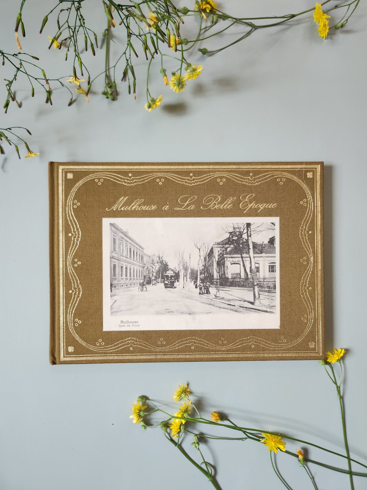 Livre "Mulhouse à la Belle Époque"   Patine