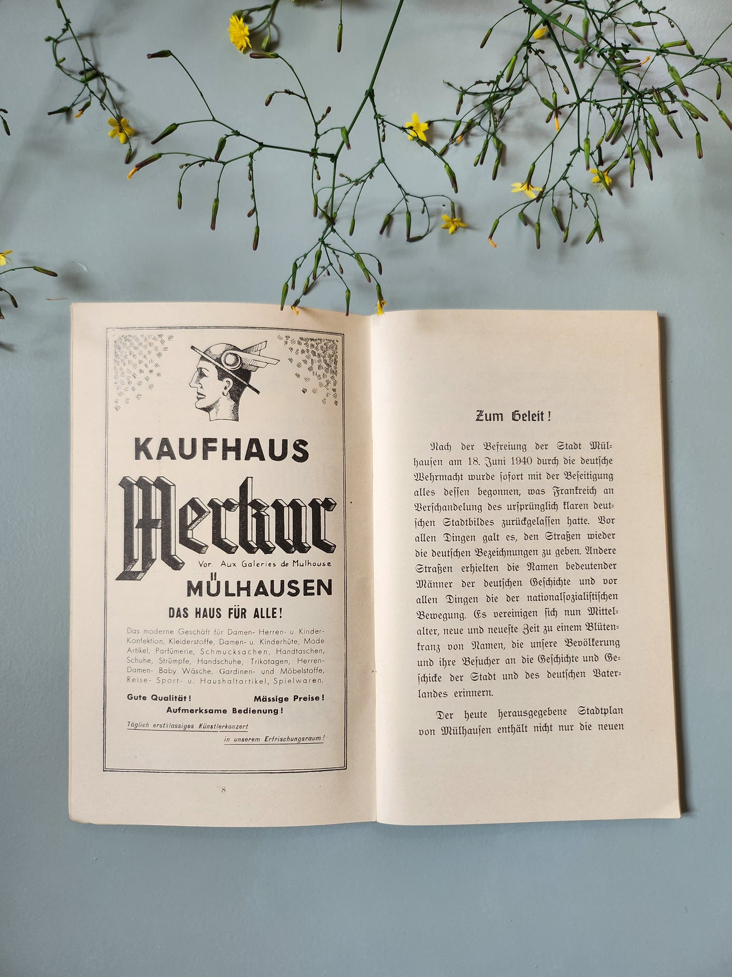Ancien livret Mulhouse Alsace allemande – Neue Straßenbezeichnung – Guide des rues – vers 1900   Patine
