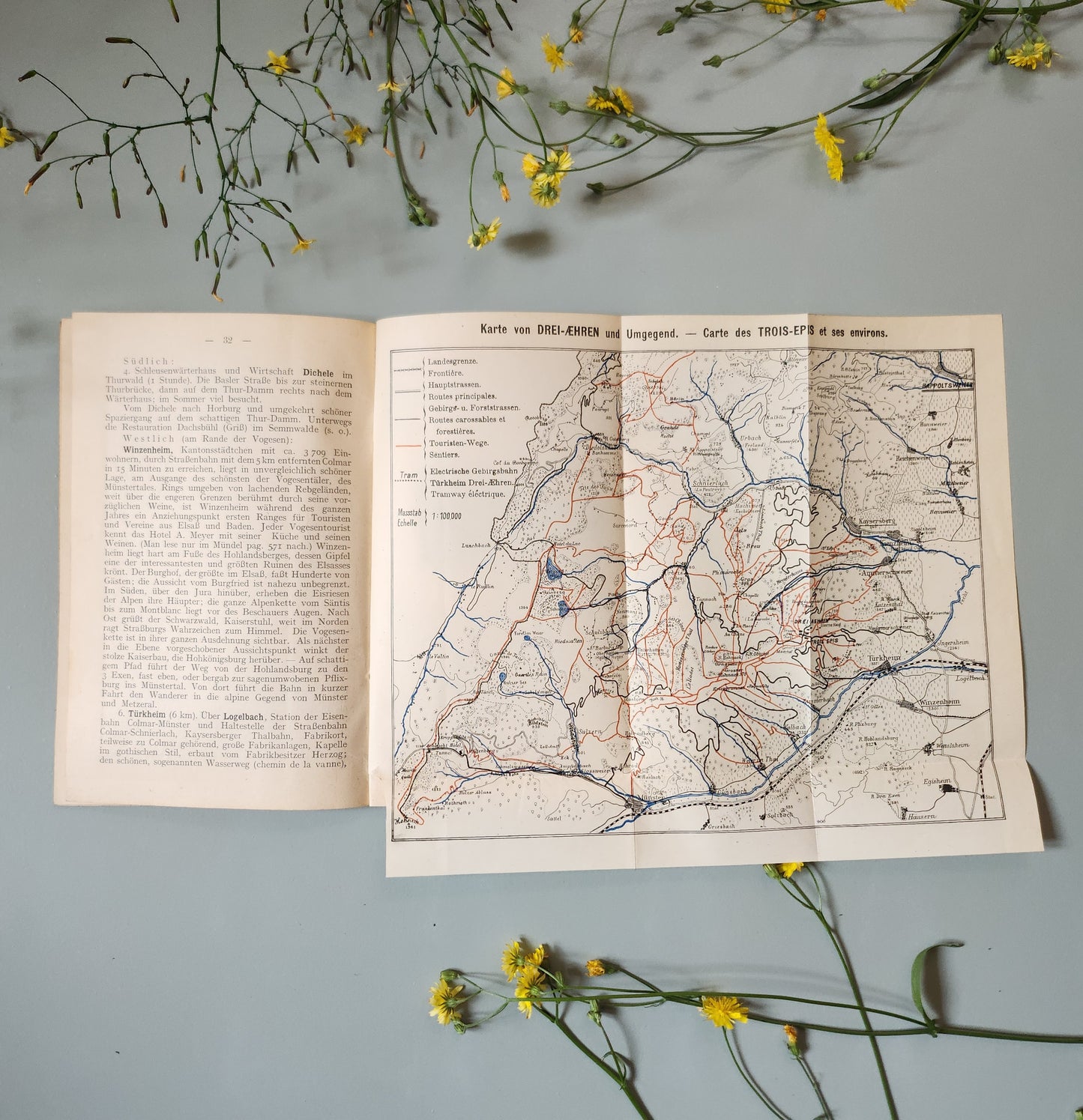 Guide de Colmar et des Hautes-Vosges, début XXe siècle   Patine