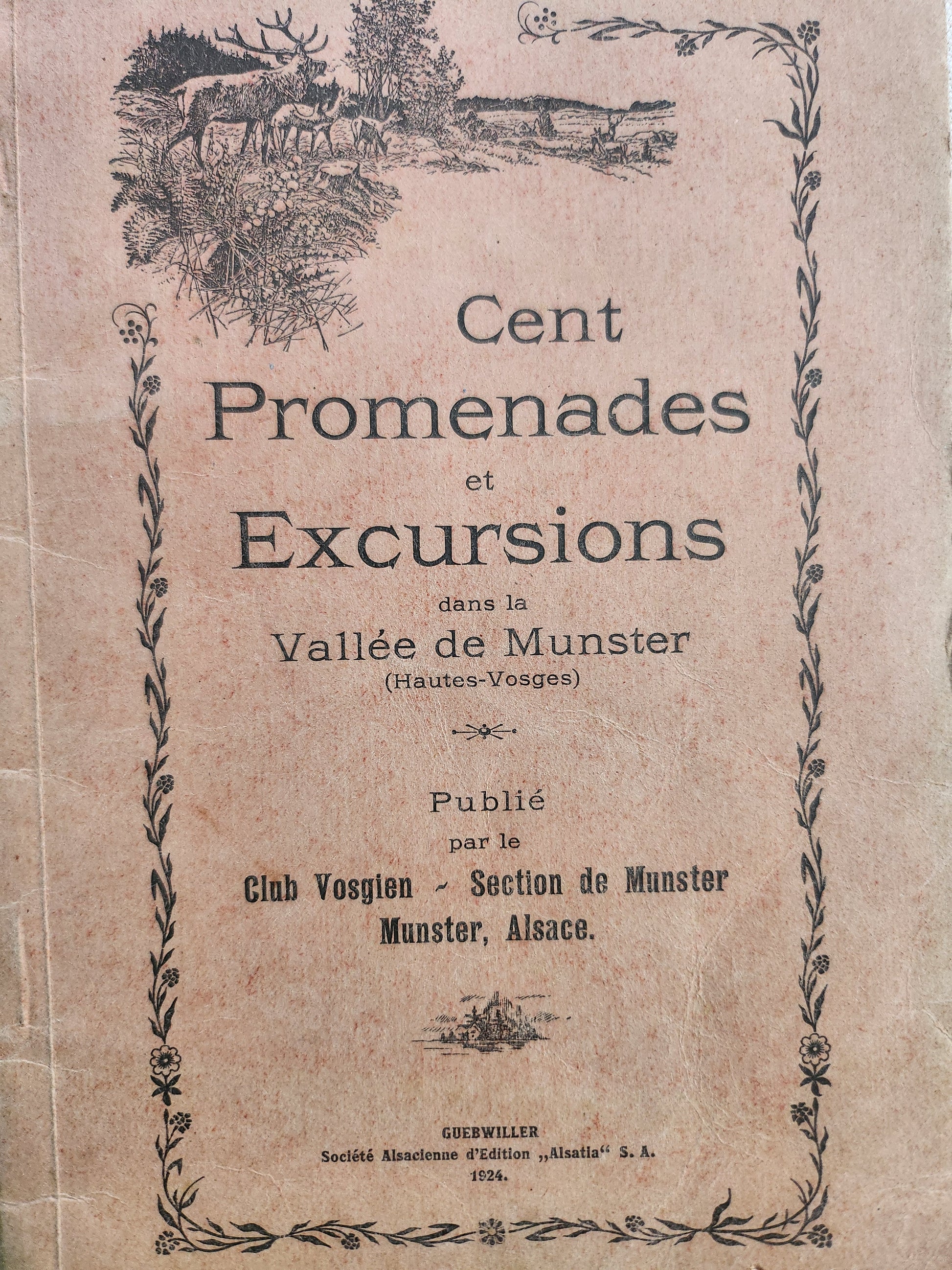 Guide promenade et excursions MUNSTER   Patine