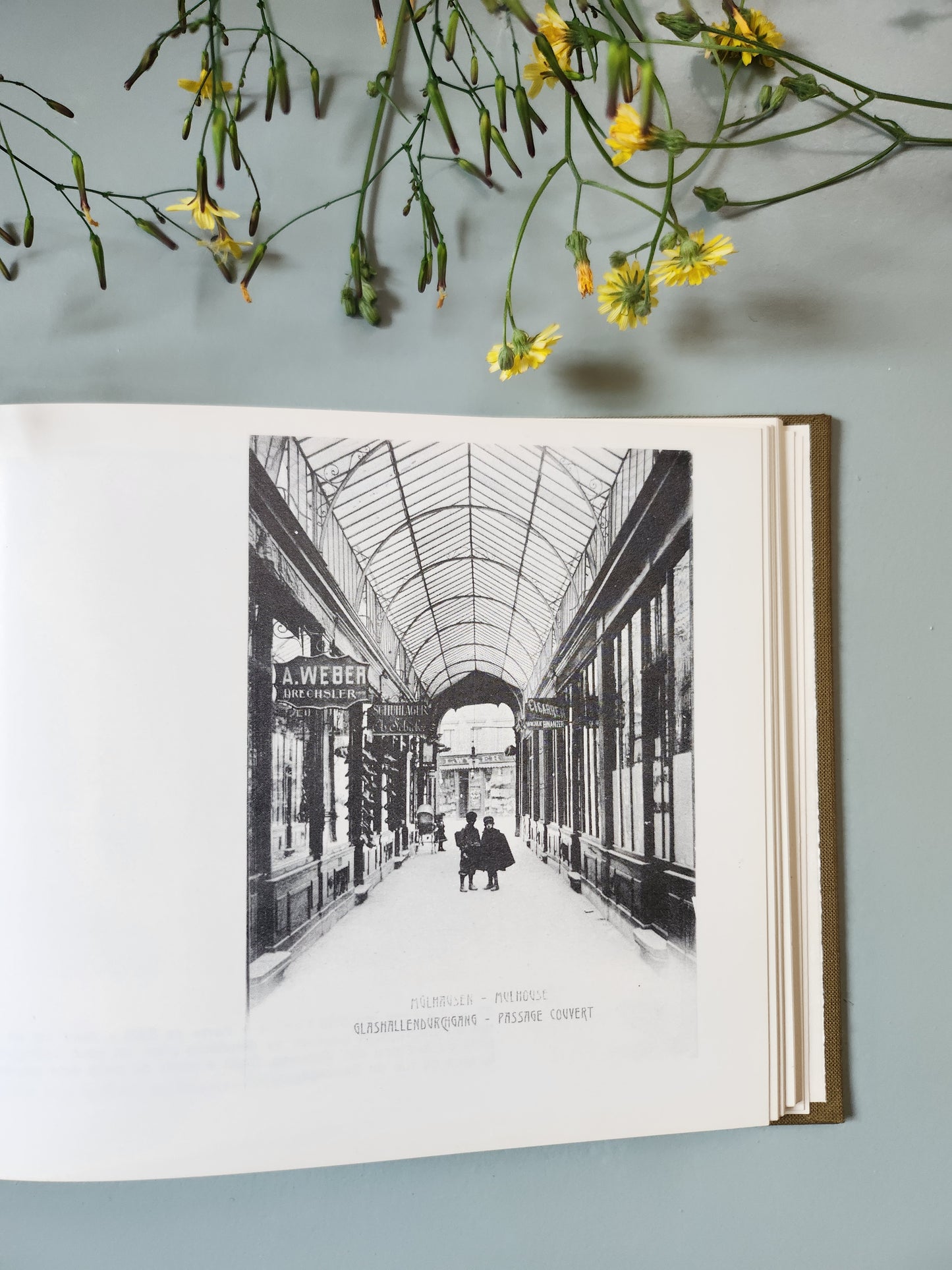 Livre "Mulhouse à la Belle Époque"   Patine