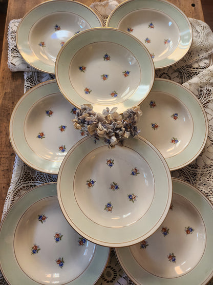 Assiettes semi-creuses Sarreguemines à fleurs lot de 8