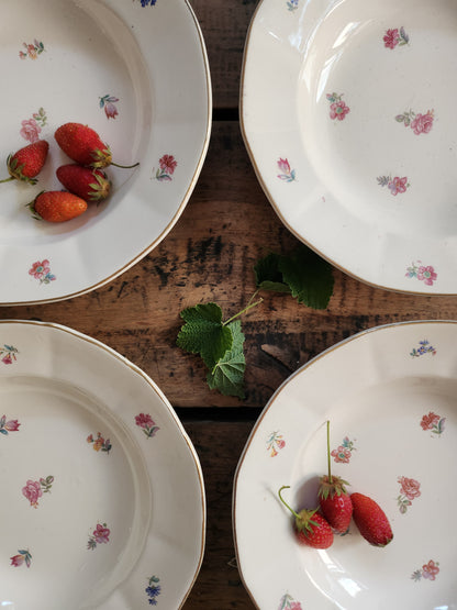 Assiettes fleuries Sarreguemines -lot de 6  Vaisselle Patine