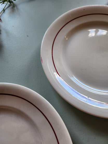 Assiettes creuses fleuries Sarreguemines lot de 2   Patine