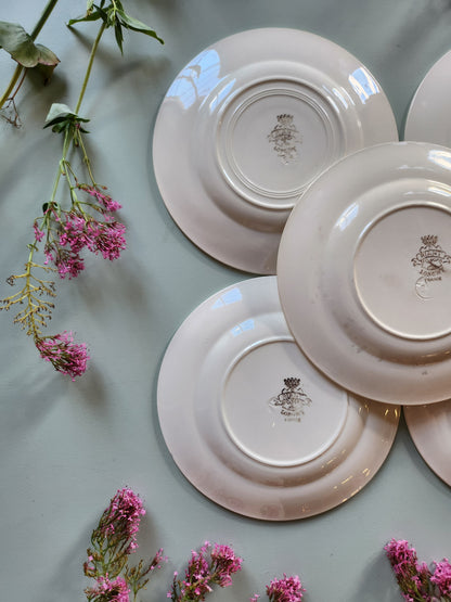 Assiettes plates fleuries Sarreguemines lot de 5   Patine