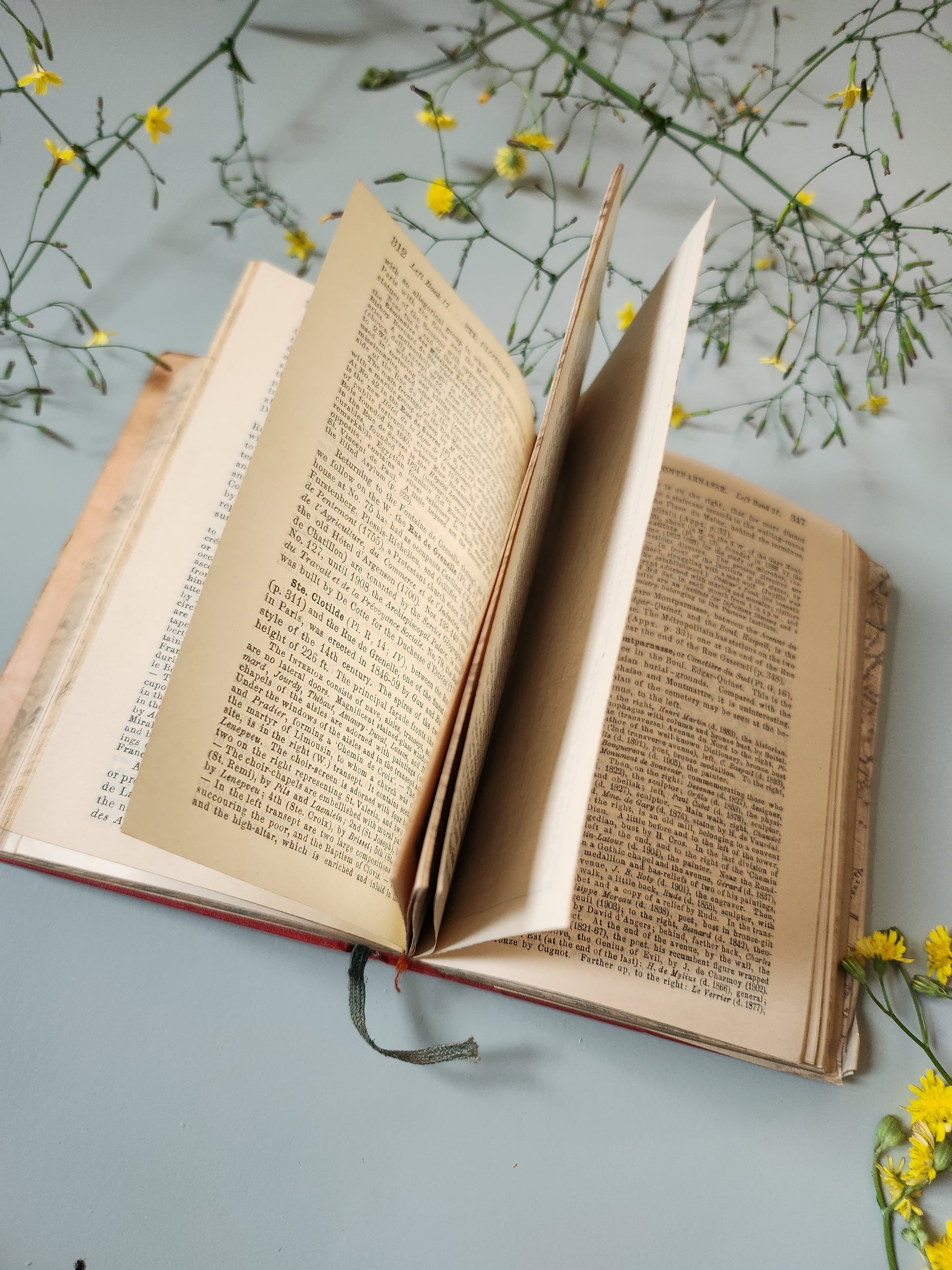 Guide Baedeker’s "Paris and its Environs"   Patine