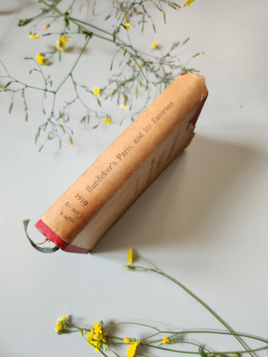Guide Baedeker’s "Paris and its Environs"   Patine