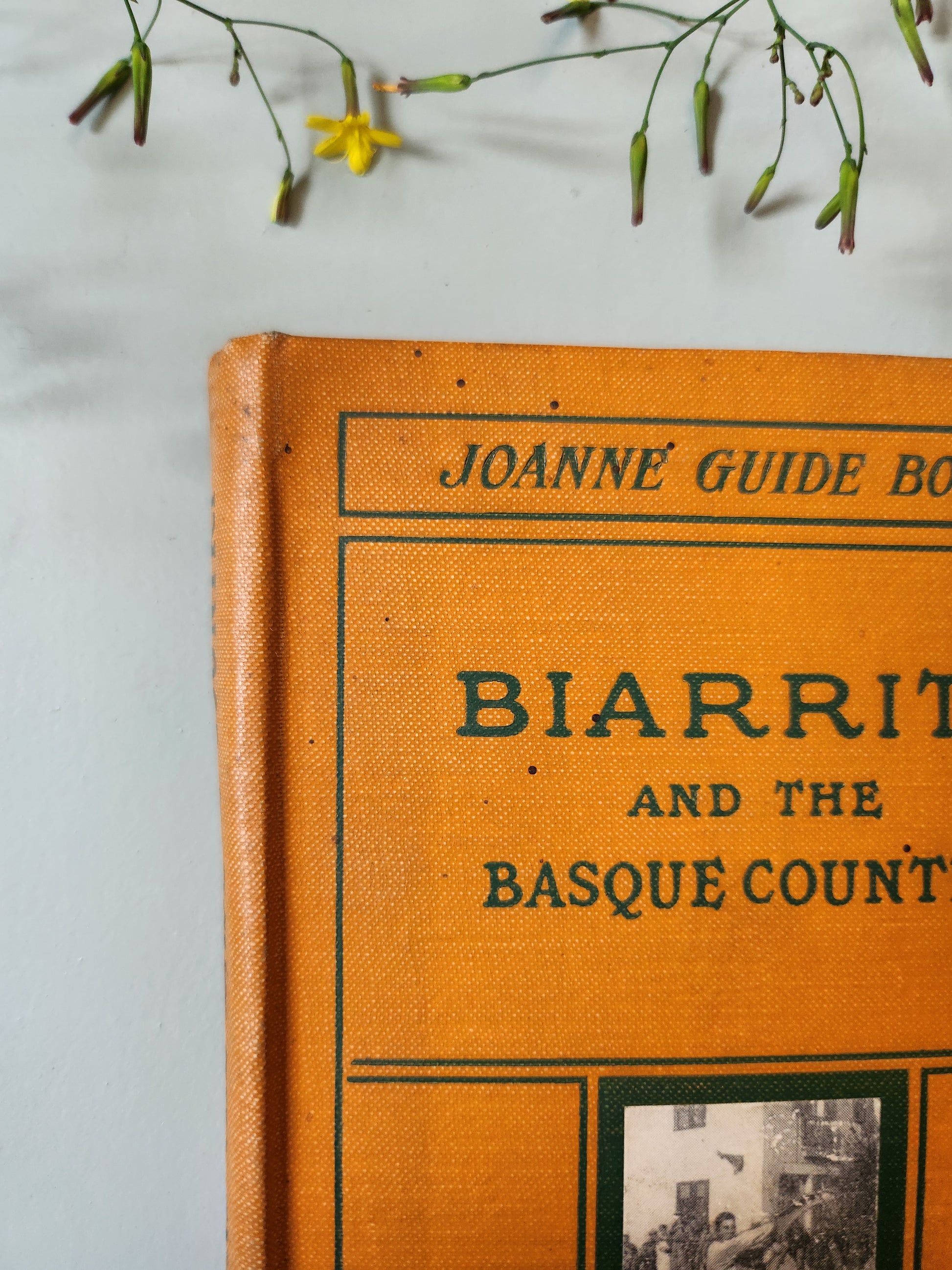 Guide Joanne "Biarritz and the Basque Country"   Patine