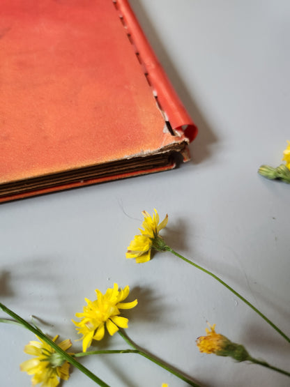 Livre pour enfants « La vie des scouts » par Suchard   Patine