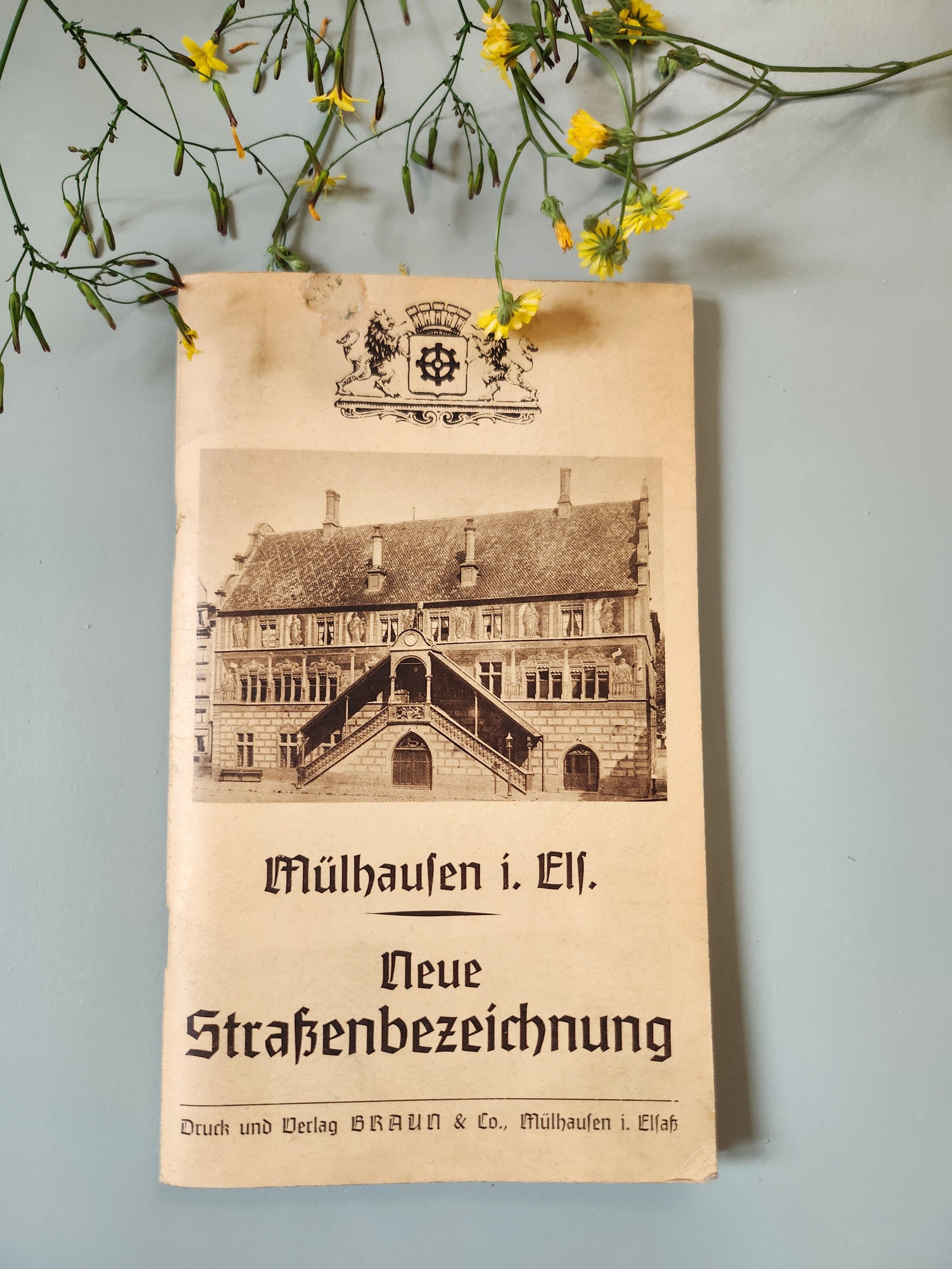 Ancien livret Mulhouse Alsace allemande – Neue Straßenbezeichnung – Guide des rues – vers 1900   Patine