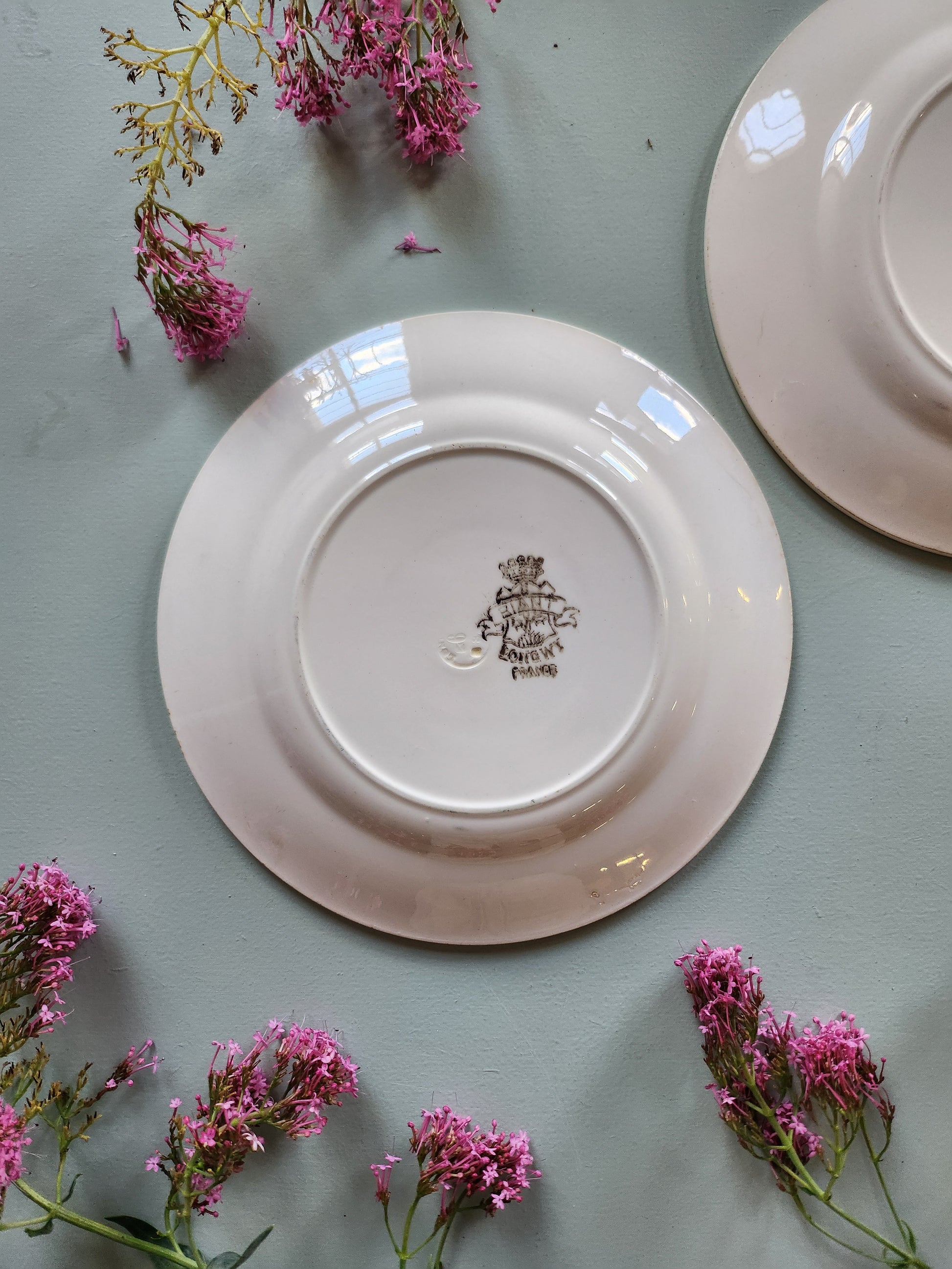 Assiettes creuses fleuries Sarreguemines lot de 2   Patine