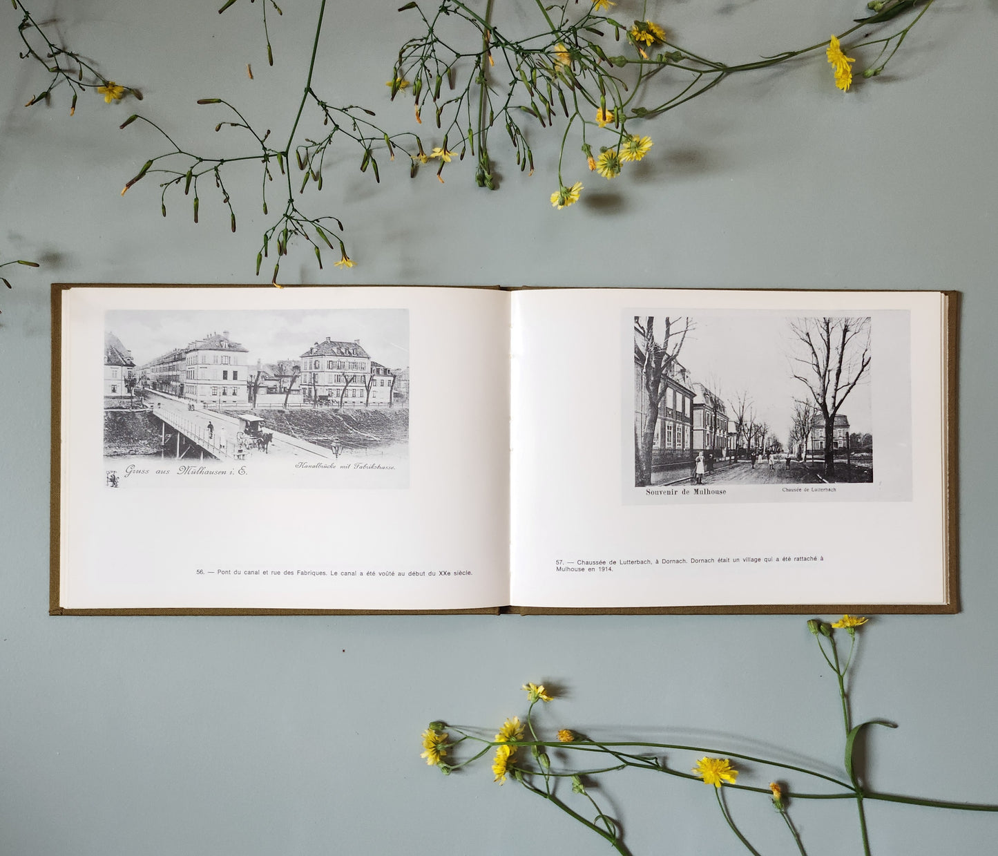 Livre "Mulhouse à la Belle Époque"   Patine
