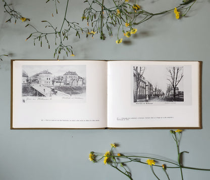 Livre "Mulhouse à la Belle Époque"   Patine