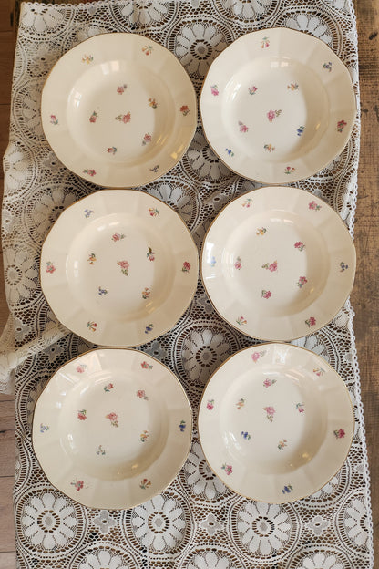 Assiettes semi-creuses Sarreguemines à fleurs-lot de 6