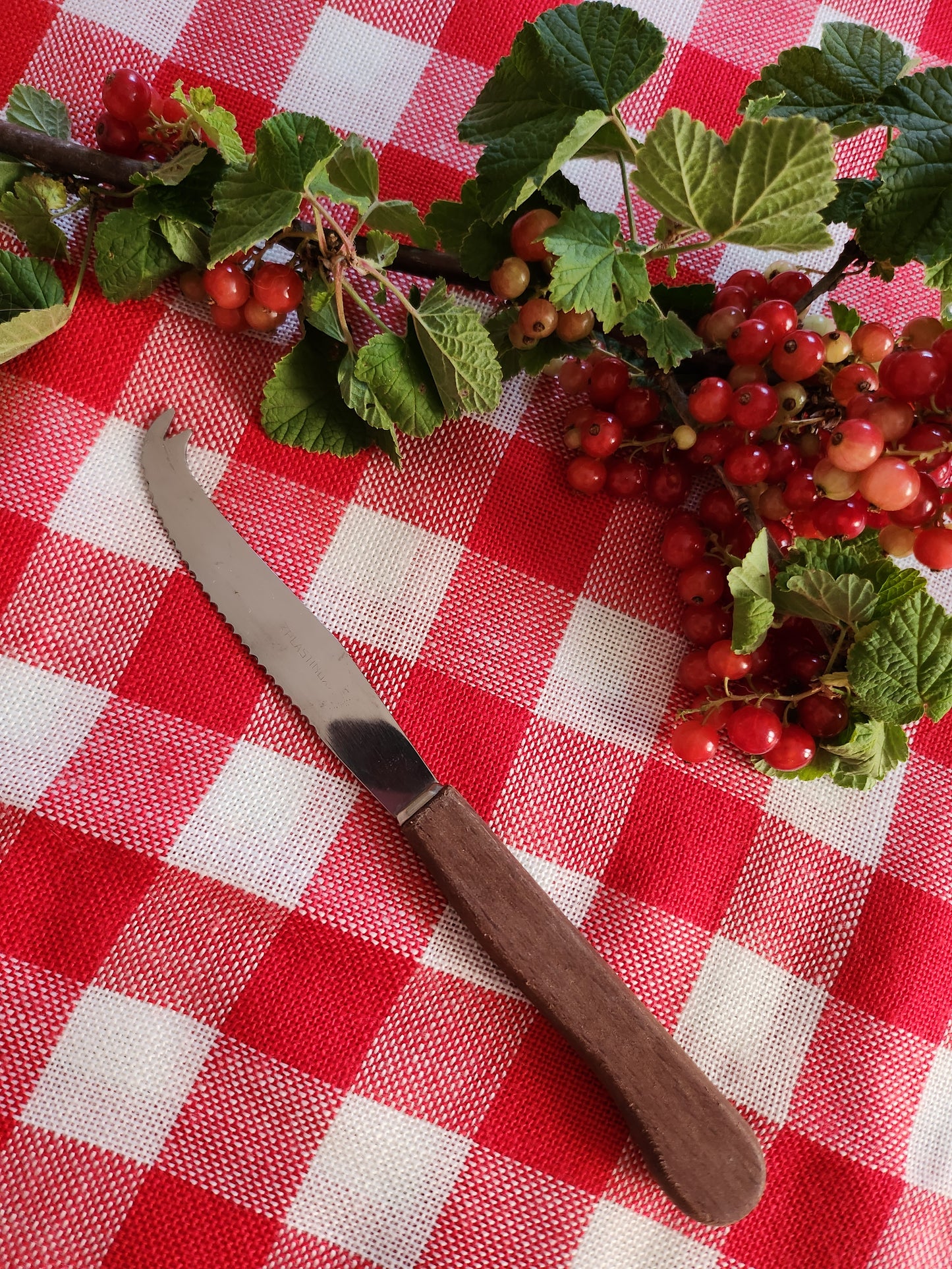 Couteau à fromage manche en bois   Patine
