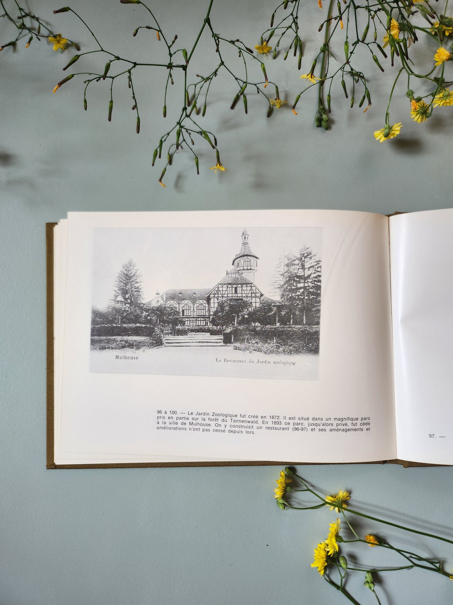 Livre "Mulhouse à la Belle Époque"   Patine