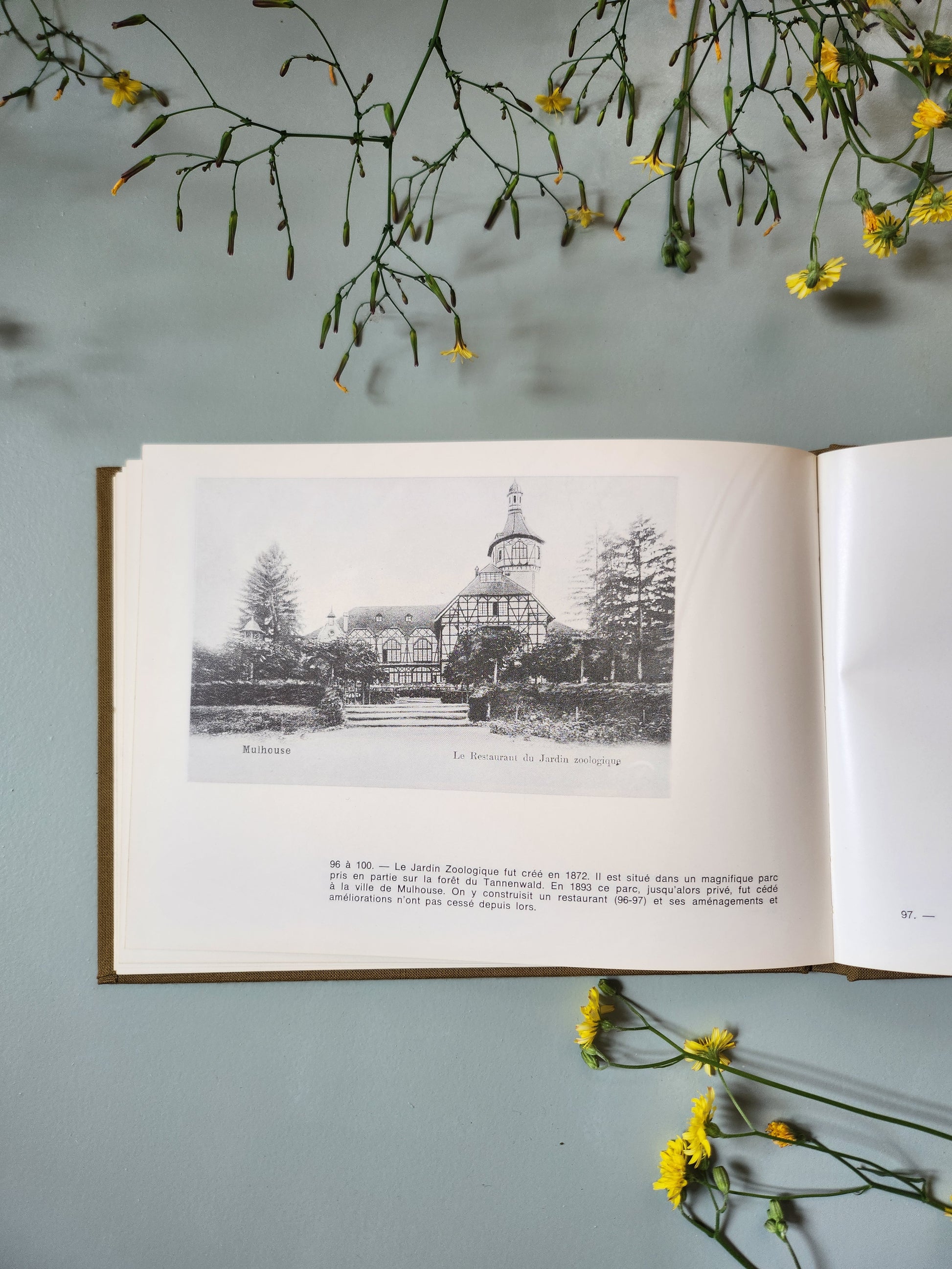 Livre "Mulhouse à la Belle Époque"   Patine