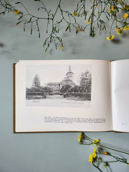 Livre "Mulhouse à la Belle Époque"   Patine