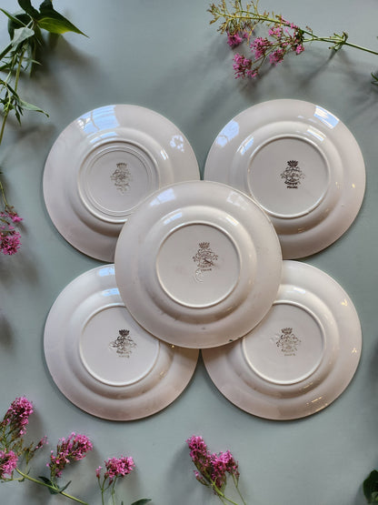 Assiettes plates fleuries Sarreguemines lot de 5   Patine