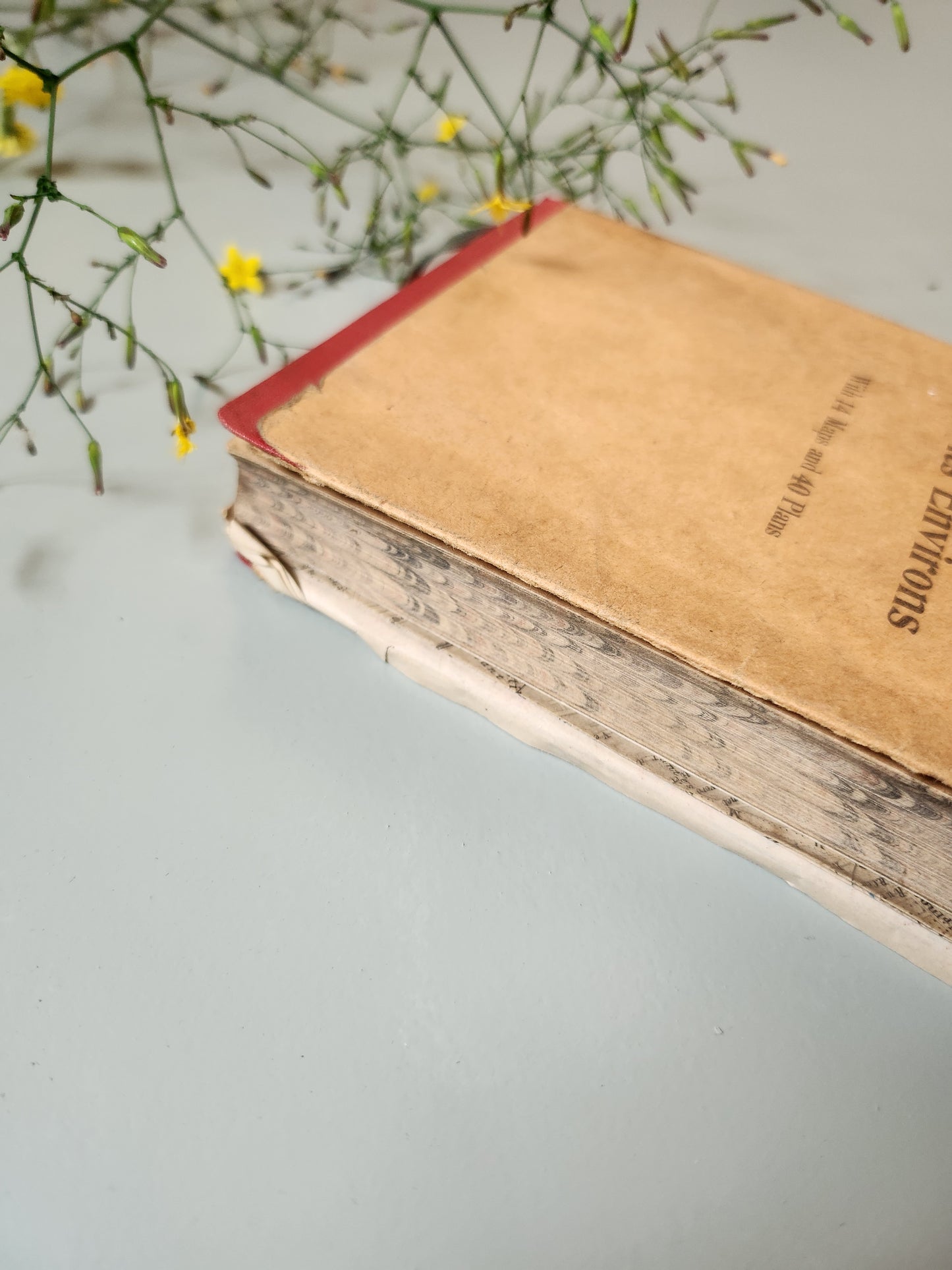 Guide Baedeker’s "Paris and its Environs"   Patine