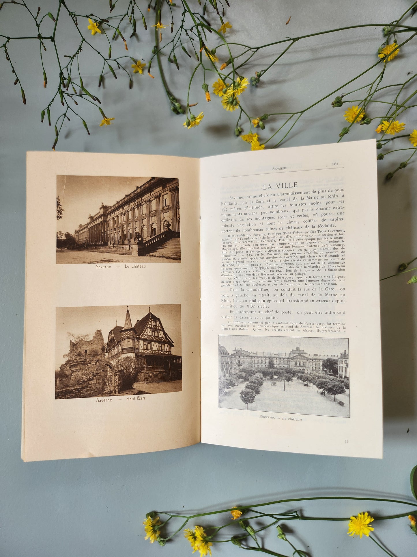 Guide "les vosges pittoresques"   Patine