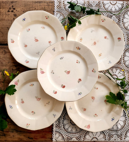 Assiette Sarreguemines fleurie lot de 5