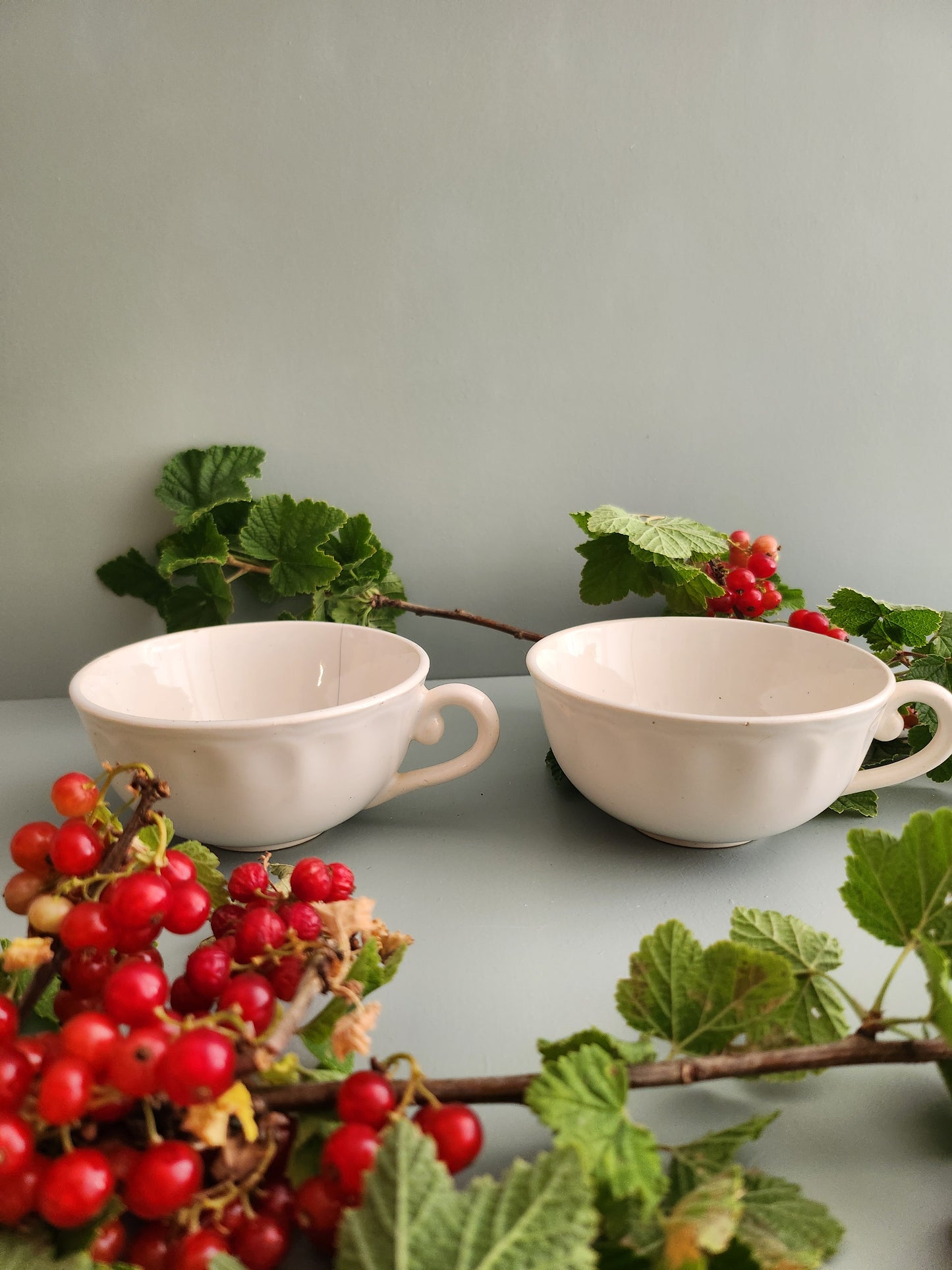 Tasse en porcelaine lot de 2