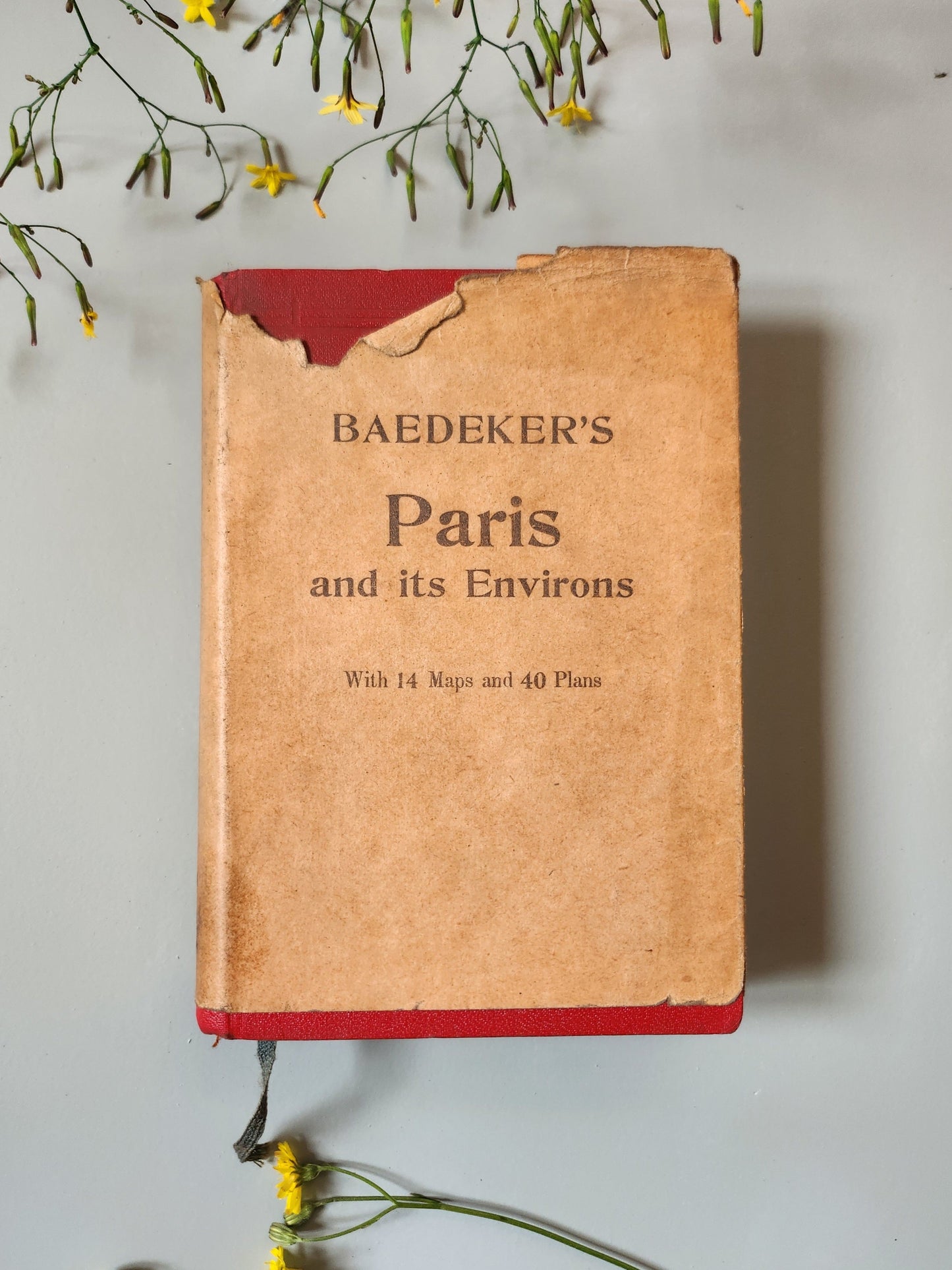 Guide Baedeker’s "Paris and its Environs"   Patine