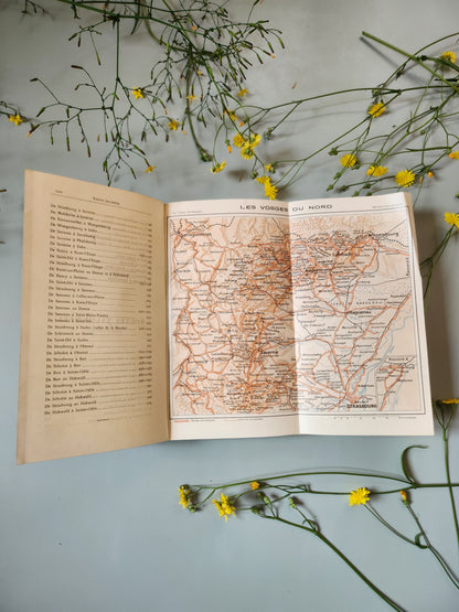 Guide "les vosges pittoresques"   Patine