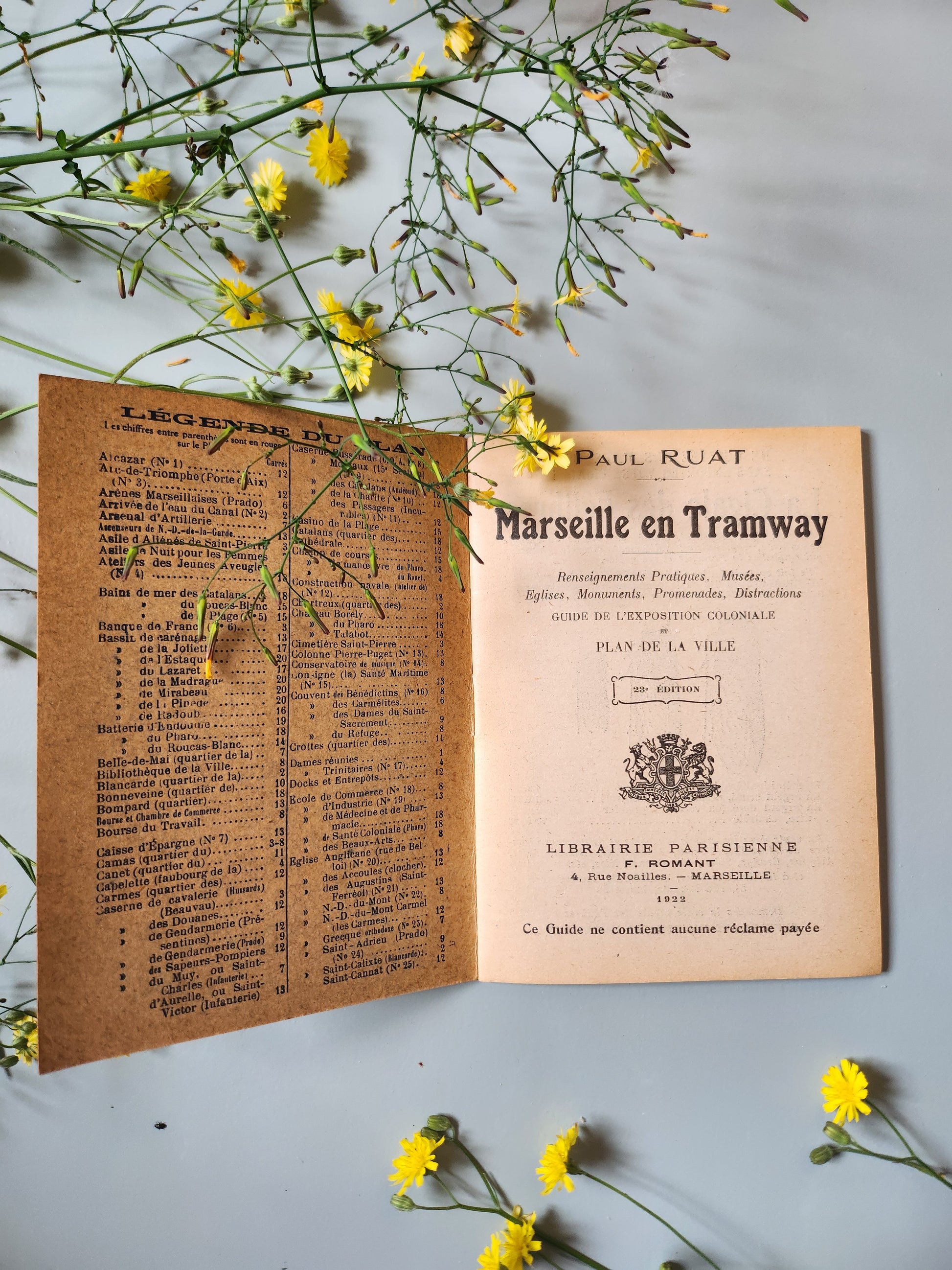 Guide Paul RUAT "marseille en tramway"   Patine