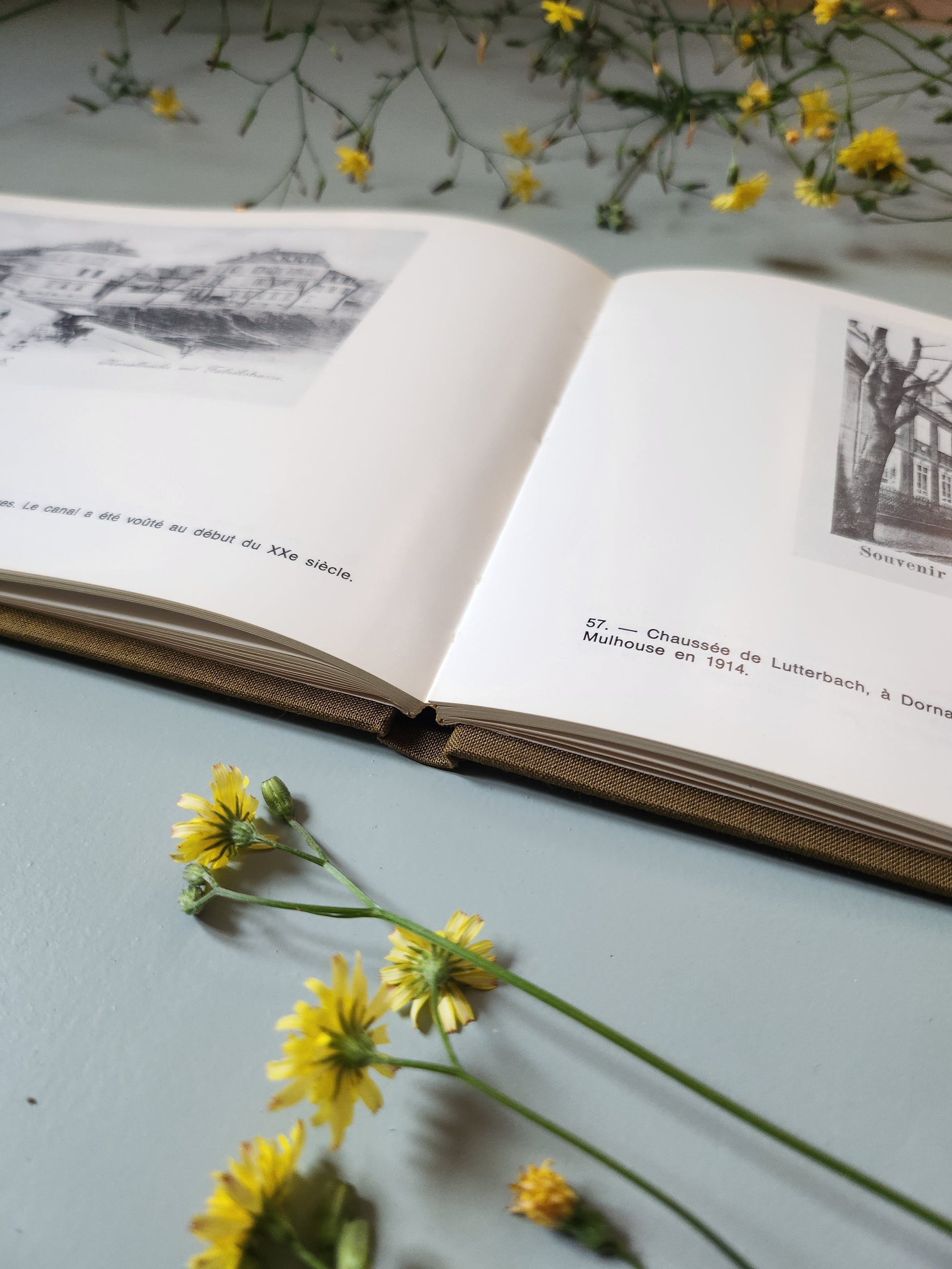 Livre "Mulhouse à la Belle Époque"   Patine