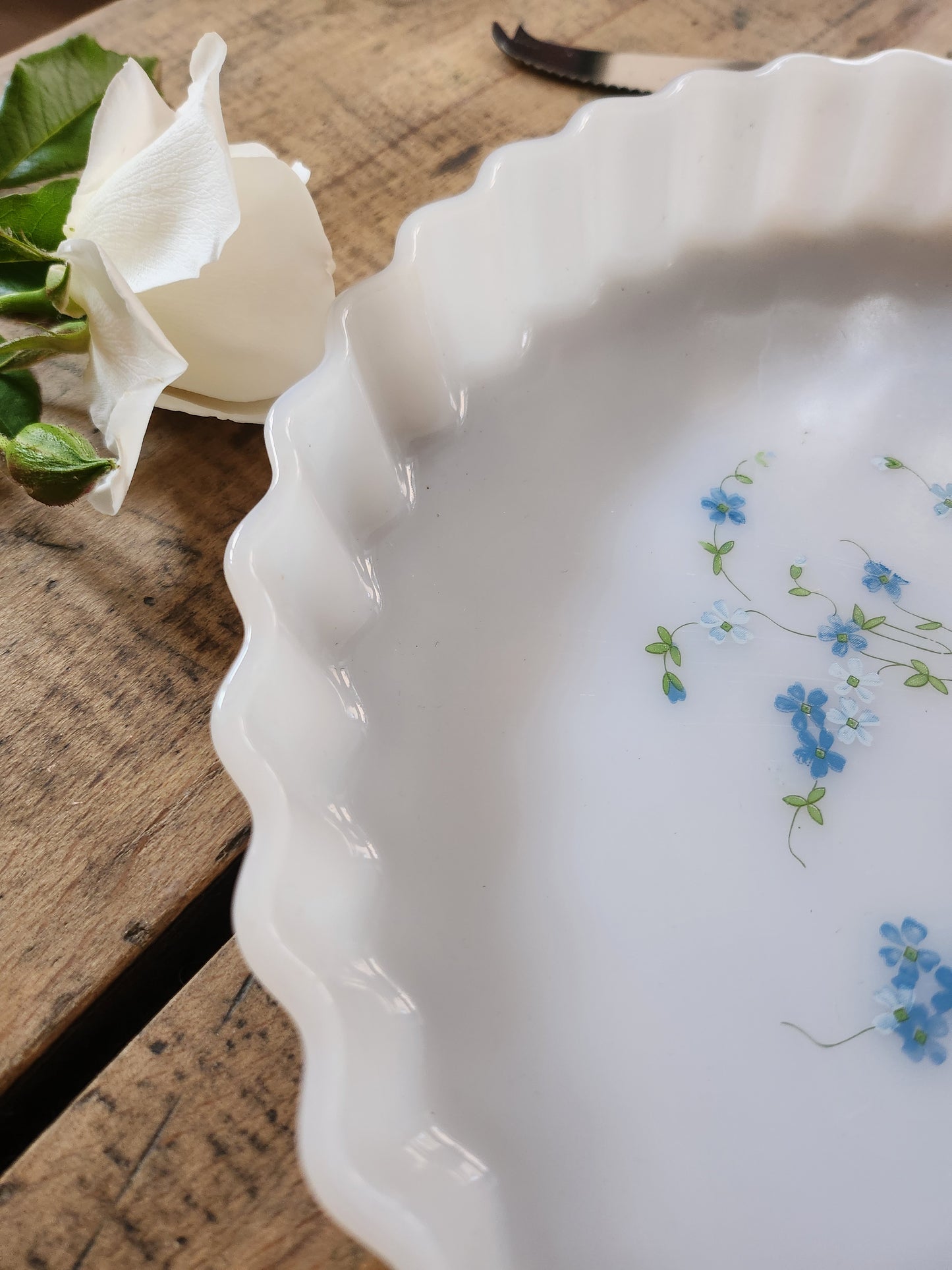 Plat à tarte Arcopal imprimé myosotis