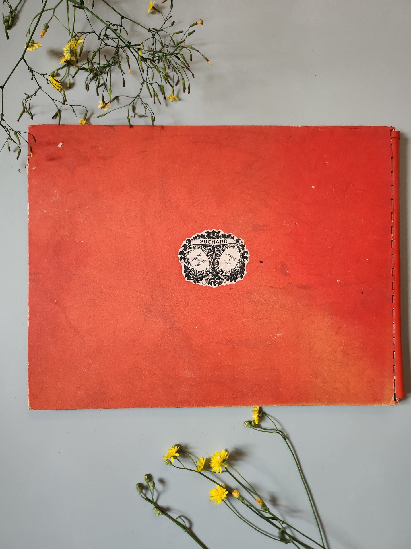 Livre pour enfants « La vie des scouts » par Suchard   Patine