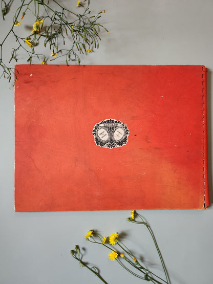 Livre pour enfants « La vie des scouts » par Suchard   Patine