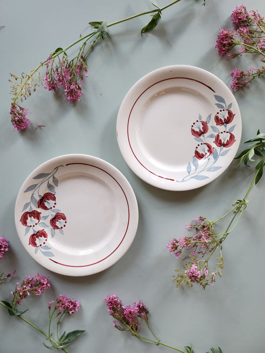 Assiettes creuses fleuries Sarreguemines lot de 2   Patine